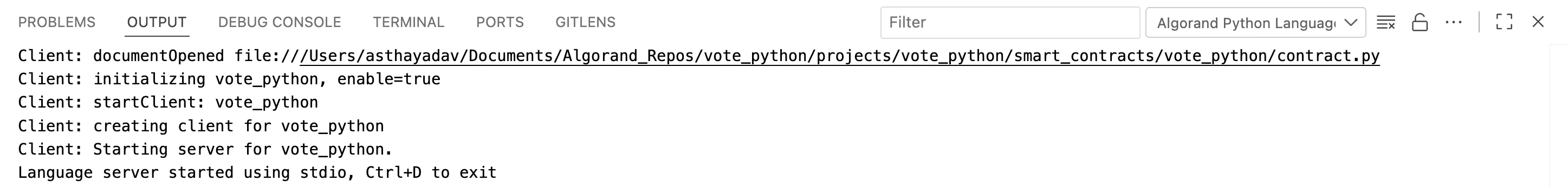 Algokit Python Language Server Terminal Output